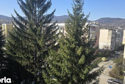 Apartament cu 2 camere decomandat în Bălcescu - 4