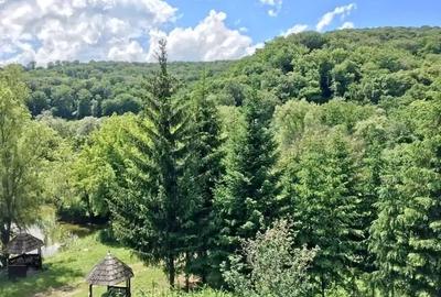 Pensiune cu restaurant si teren generos  langa Sighisoara - 7