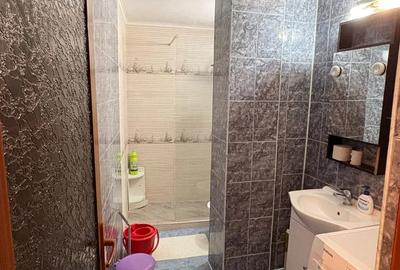 Proprietar inchiriez casa si curte la Dacia,2 camere decomandate - 2