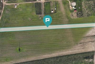 Teren parcelat, 5800 mp, Chișoda - 2