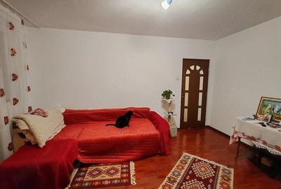 Apartament cu 2 camere nedecomandat în Vest - 1