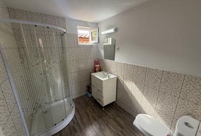 Casă individuală cu 4 camere cu Teren 430 Mp în Cetate - 9