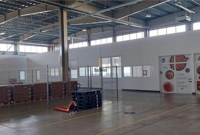 Spatiu Industrial - 1800 mp - Productie - Depozitare - Distributie - 2