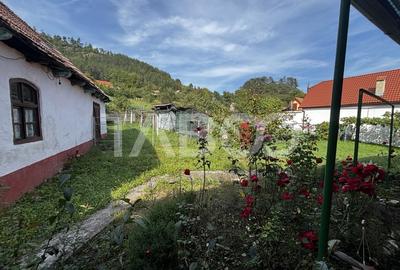 Casa saseasca de vanzare + bonus doua terenuri Seica Mare Sibiu - 6