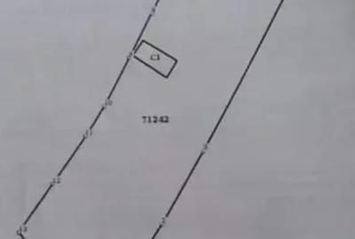 Teren intravilan de 1688 mp, în Sultanu - 6