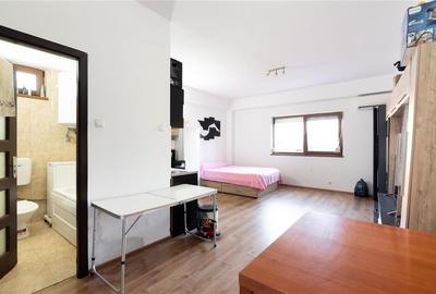 RECO APARTAMENT CU O CAMERA IN PALEU - 5