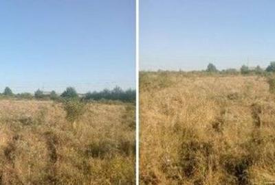 Targu Neamt, Punct Manesti, cota parte 1/2, ID: R2759107 Targu Neamt, Punct Manesti, cota parte 1/2, ID: R2759107 - 2