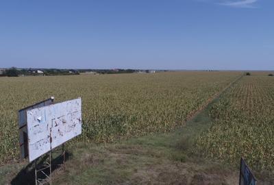 TEREN INTRAVILAN FUNDULEA 63.000 MP  , jUD. CALARASI DE VANZARE - 3