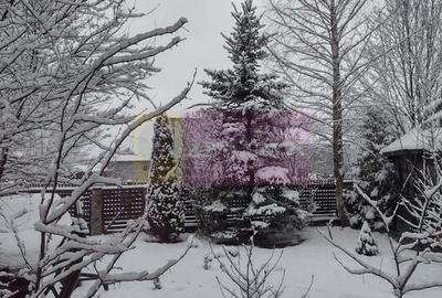 Vila de vanzare in Brebu - Zona Brebu Manastirei - 21