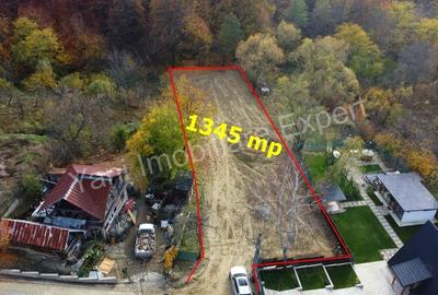 Teren de vanzare in Curtea de Arge?, Strada Anghele?ti. - 1