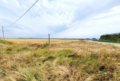 Teren de 8812 mp, în Măgurele - 12