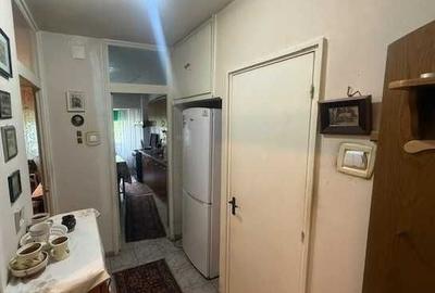 LACUL TEI, LANGA COMPLEXUL DOMINO LACUL TEI, LANGA COMPLEXUL DOMINO - 6