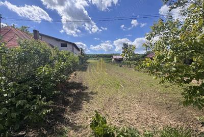 Teren de 2900 mp, în Lipoveni - 9