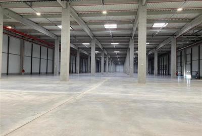 Spațiu industrial, de 2,380 mp, în Central - 7