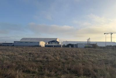 Teren intravilan , 3000 mp , deschidere 78 m, zona Carcea - 4