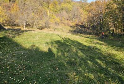 Vand loturi intravilane! - 4