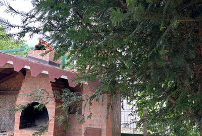 Vile individuale, cu curte generoasă și spații de recreere - 7