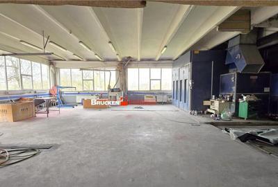 Showroom cu hala si spatiu locativ Marghita, Bihor - 11