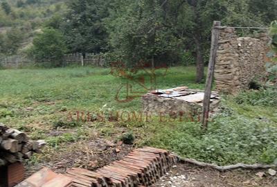 Casă cu 4 camere cu Canalizare în Ticvaniu Mare - 2