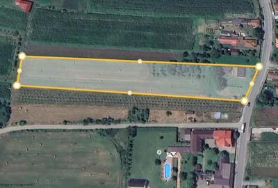 Teren de 8600 mp, în Bălata