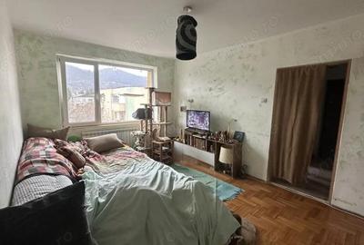 Apartament cu 2 camere semidecomandat în Săsar - 4