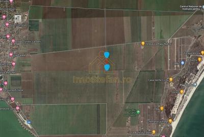 Corbu | Investeste in teren extravilan 5000 mp. - 4