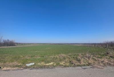 Teren Construcții extravilan de 3800 mp, în Exterior Nord - 1