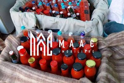 Casă cu 4 camere cu Teren 60000 Mp în Central - 11