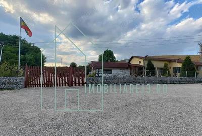 Domeniu, Afacere de vanzare, Sebe?, Alba, balta pescuit, ferma lavanda - 2