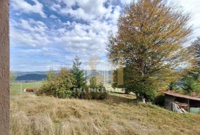 Teren de 40000 mp, în Central - 8