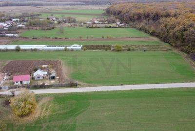Teren situat langa Padure l Balta Neagra - 4
