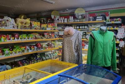 Casă cu Teren 1467 Mp în Plumbuita - 4