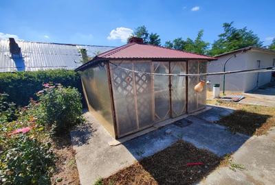 Vând proprietate cu 2 case în Comuna Mănăstirea, Călărași - 5