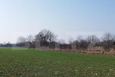 Teren 12223mp, deschidere 27mp, intravilan, Berceni - 5