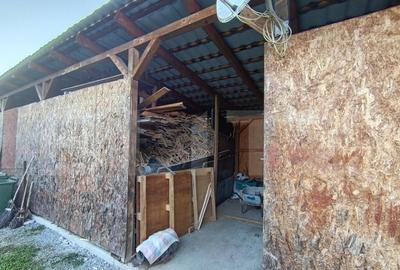 Casa cu 3 camere,baie, bucatarie,anexe.pivni?a teren 800 m - 11