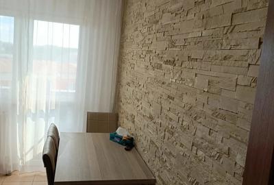 Apartament 2 camere,George Enescu,decomandat 53 mp - 4