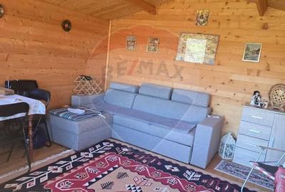 Teren de 2900 mp, în Păucea - 9