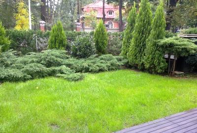 Apartament cu 4 camere decomandat, mobilat în Aviatorilor