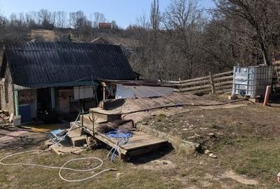 Teren de 2784 mp, în Căpușu Mare - 5