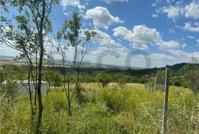 Teren de 1675 mp, în Podgoria - 10
