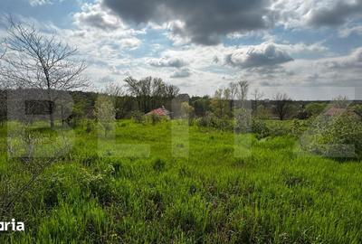 Teren de 990 mp, în Cârcea - 5
