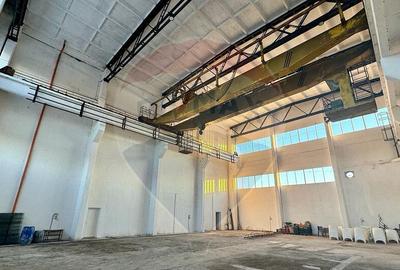 DE VANZARE sau INCHIRIERE renovata cu pod rulant - 3