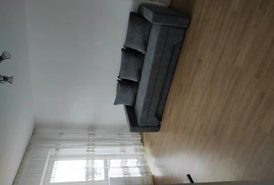 Apartament cu 2 camere semidecomandat în Cetate - 10