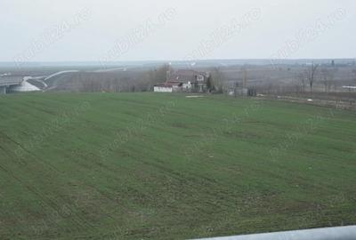 Particular, 10.200 mp. teren situat in Moara Vlasiei cu acces din DJ - 2