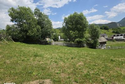 Teren de 6312 mp, în Rucăr - 3