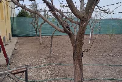 Buturugeni Posta - 14