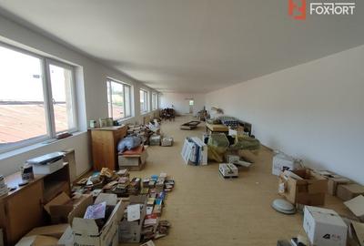 Birou, de 100 mp, în Iosefin - 6