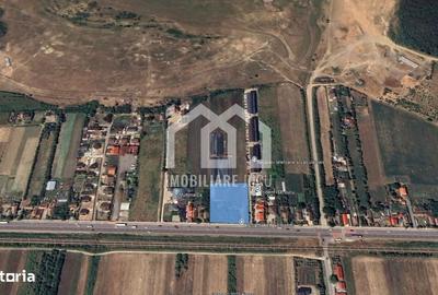 Spațiu comercial, în Juc-Herghelie - 3