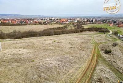 2.000mp teren, investitional, in vecinatatea padurii, Simeria, Sfantu Gheorghe. - 3