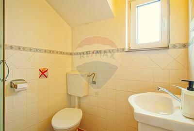 Casă cu 9 camere cu Teren 888 Mp în Sohodol - 34